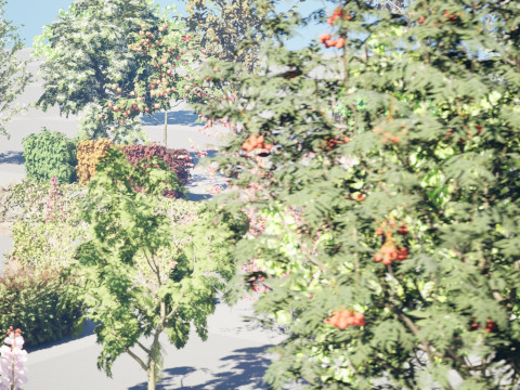 British Vegetation 3D Asset Pack 3D Model