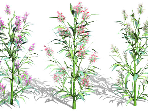 British Vegetation 3D Asset Pack 3D Model