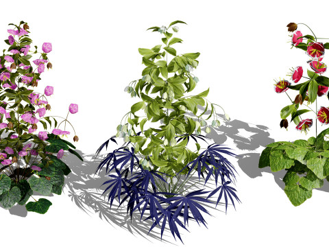 British Vegetation 3D Asset Pack 3D Model
