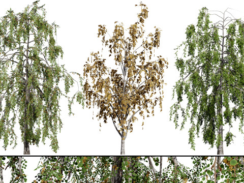 British Vegetation 3D Asset Pack 3D Model