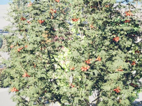 British Vegetation 3D Asset Pack 3D Model