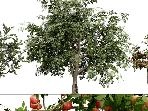 British Vegetation 3D Asset Pack 3D Model