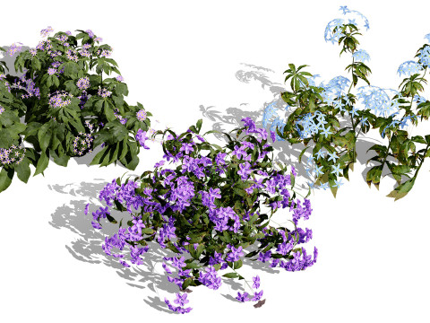 British Vegetation 3D Asset Pack 3D Model