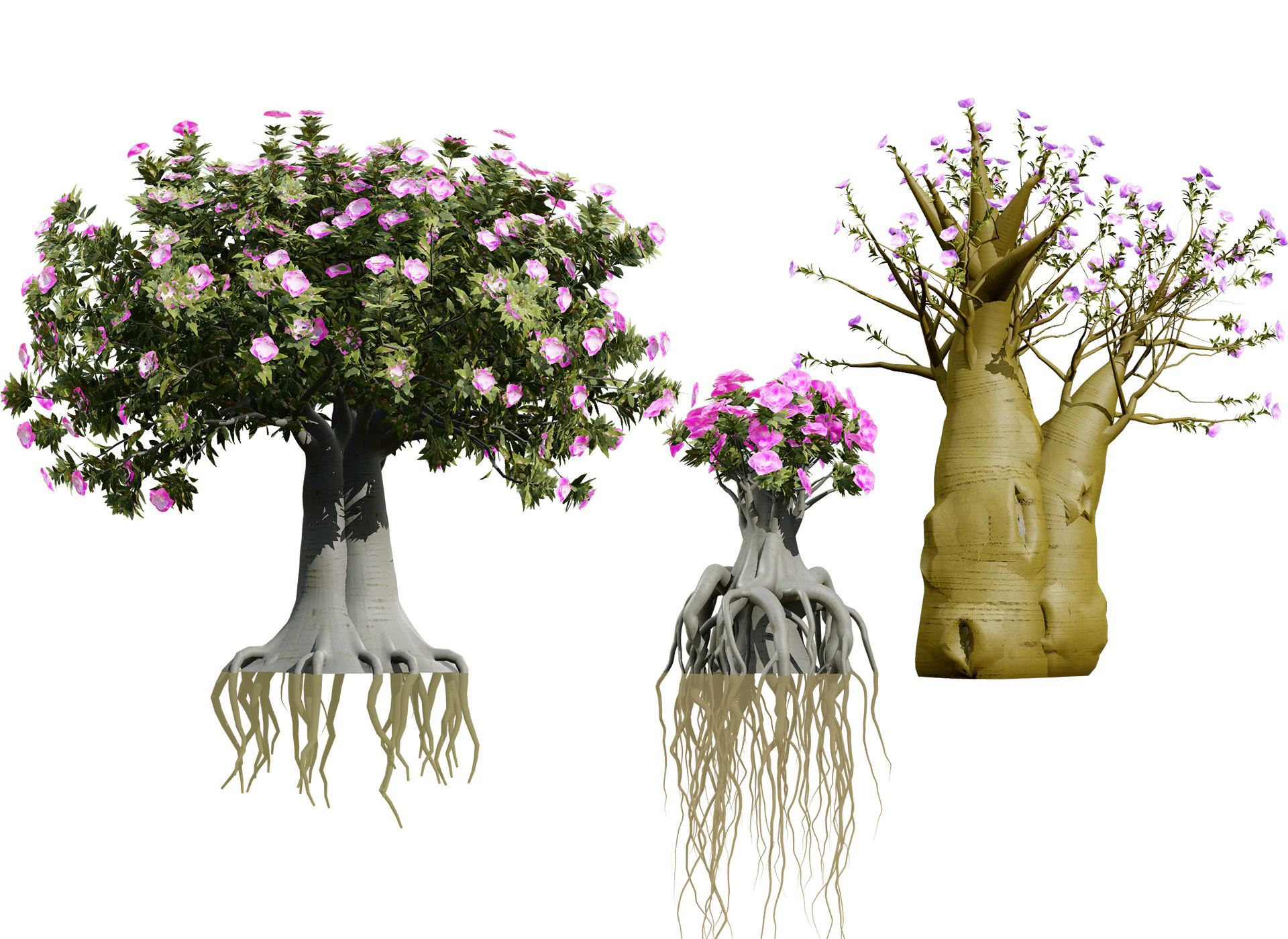 Alberi di Kudu arabi s Modello 3D .c4d .max .obj .3ds .fbx .stl .blend 