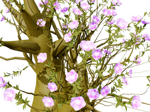 Alberi di Kudu arabi s Modello 3D