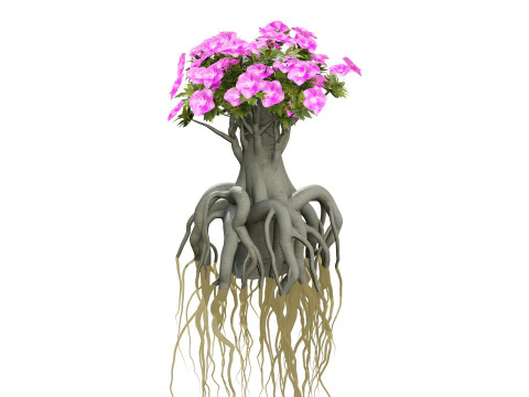 Alberi di Kudu arabi s Modello 3D