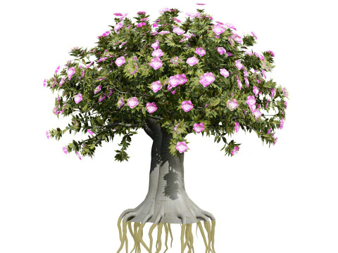 Alberi di Kudu arabi s Modello 3D