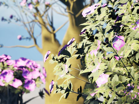 Alberi di Kudu arabi s Modello 3D