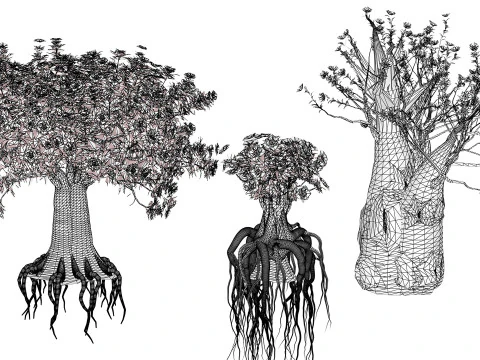 Alberi di Kudu arabi s Modello 3D