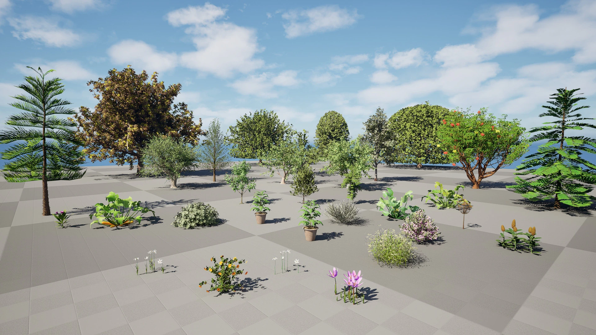 Mega Pacote Flora Tree Marroquina Modelo 3D .c4d .max .obj .3ds .fbx .stl .blend 