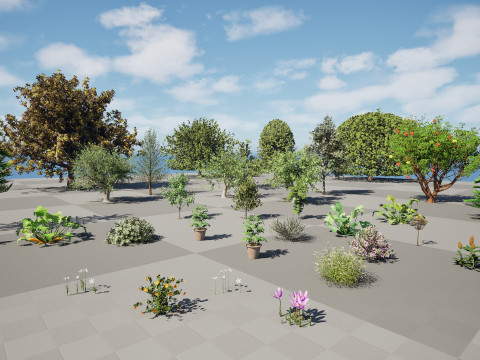 Moroccan Flora Tree Mega Pack 3D Модель