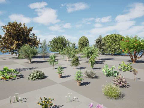 Mega Pacote Flora Tree Marroquina Modelo 3D