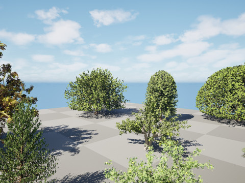 Mega Pacote Flora Tree Marroquina Modelo 3D