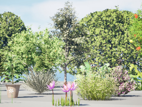 Mega Pacote Flora Tree Marroquina Modelo 3D