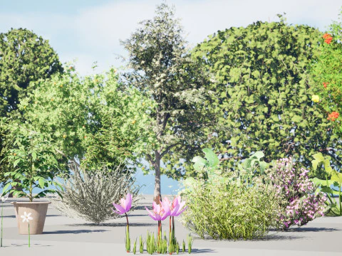 Mega Pacote Flora Tree Marroquina Modelo 3D