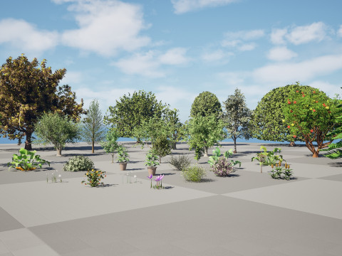 Mega Pacote Flora Tree Marroquina Modelo 3D