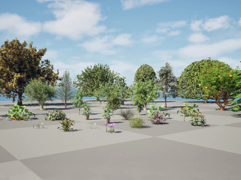 Mega Pacote Flora Tree Marroquina Modelo 3D