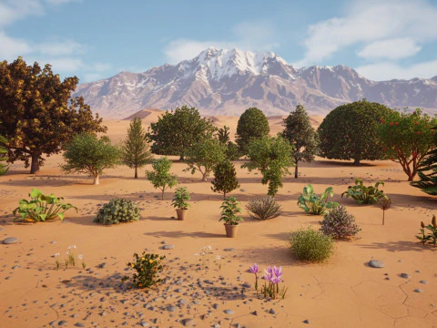 Mega Pacote Flora Tree Marroquina Modelo 3D