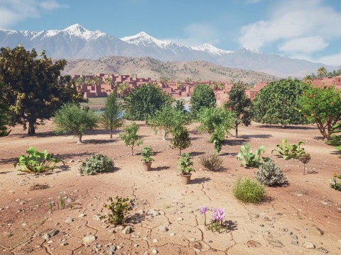 Mega Pacote Flora Tree Marroquina Modelo 3D