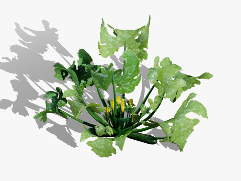 Mega Pacote Flora Tree Marroquina Modelo 3D