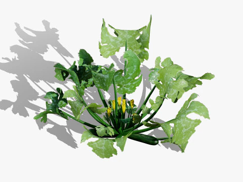 Mega Pacote Flora Tree Marroquina Modelo 3D