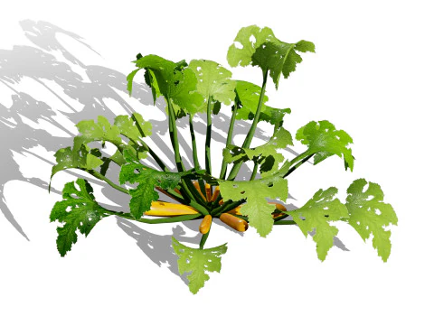 Mega Pacote Flora Tree Marroquina Modelo 3D