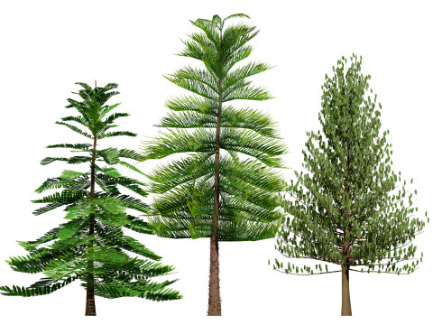 Mega Pacote Flora Tree Marroquina Modelo 3D