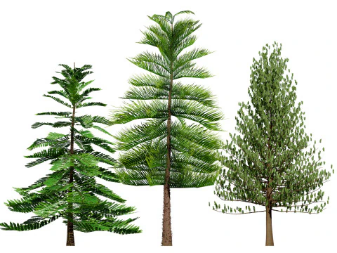 Mega Pacote Flora Tree Marroquina Modelo 3D