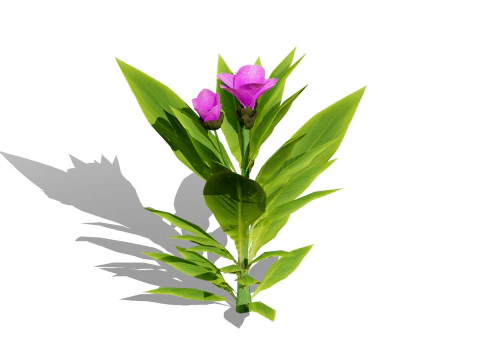 Mega Pacote Flora Tree Marroquina Modelo 3D