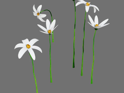 Mega Pacote Flora Tree Marroquina Modelo 3D