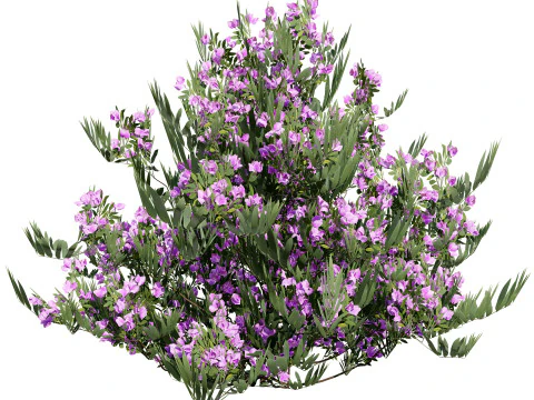 Mega Pacote Flora Tree Marroquina Modelo 3D