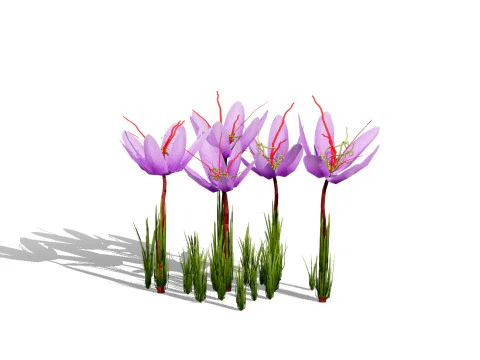 Mega Pacote Flora Tree Marroquina Modelo 3D