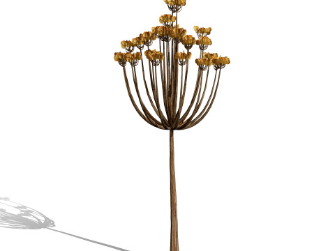 Mega Pacote Flora Tree Marroquina Modelo 3D