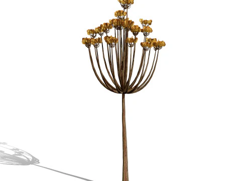 Mega Pacote Flora Tree Marroquina Modelo 3D