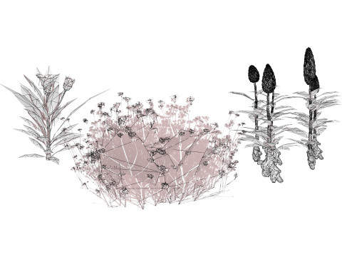 Mega Pacote Flora Tree Marroquina Modelo 3D