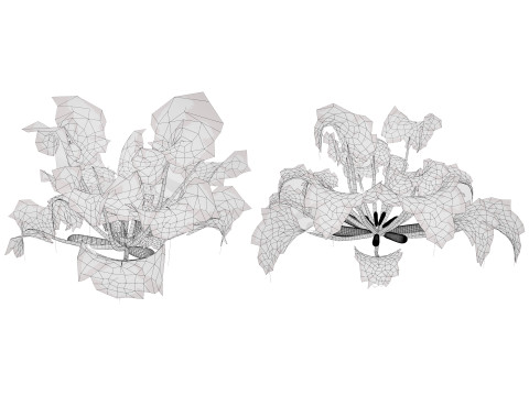 Mega Pacote Flora Tree Marroquina Modelo 3D