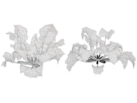 Mega Pacote Flora Tree Marroquina Modelo 3D