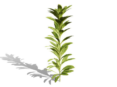 게임에 바로 사용할 수 있는 3D 나뭇잎 팩 3D 모델