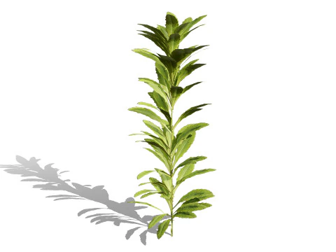 Game-Ready 3D Foliage Pack 3D Model