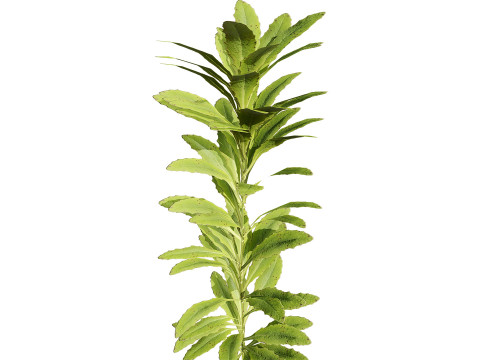 게임에 바로 사용할 수 있는 3D 나뭇잎 팩 3D 모델