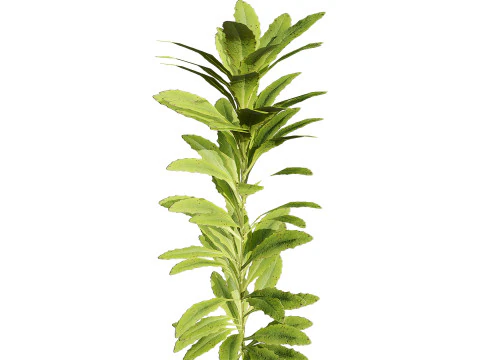 Game-Ready 3D Foliage Pack 3D Model