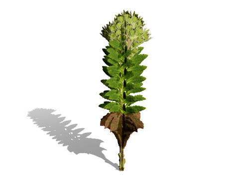 게임에 바로 사용할 수 있는 3D 나뭇잎 팩 3D 모델