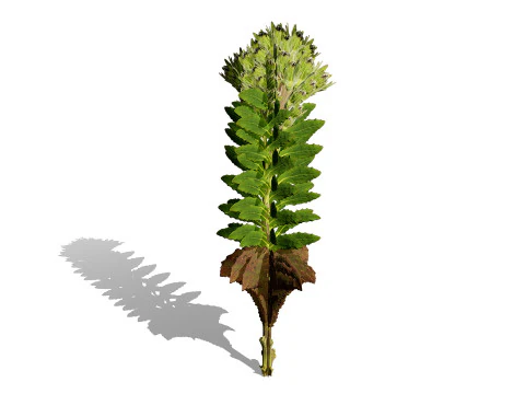 Game-Ready 3D Foliage Pack 3D Model