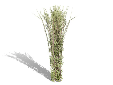 Game-Ready 3D Foliage Pack 3D Model