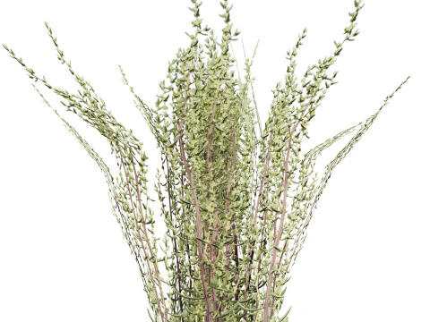 Game-Ready 3D Foliage Pack 3D Model