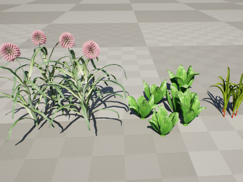 Arabian Wild Leek 3D Model
