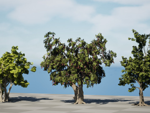 Albero dello spazzolino arabo Modello 3D