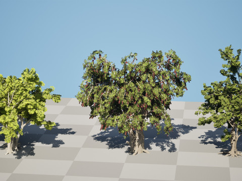 Albero dello spazzolino arabo Modello 3D