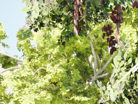 Albero dello spazzolino arabo Modello 3D