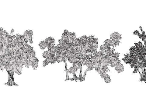 Albero dello spazzolino arabo Modello 3D